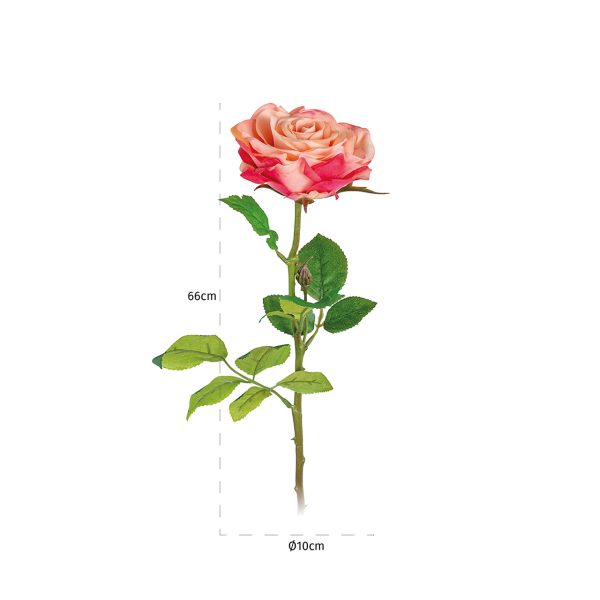 -FL-0015 - Bloem Rose Rosee-white (18 stuks)
