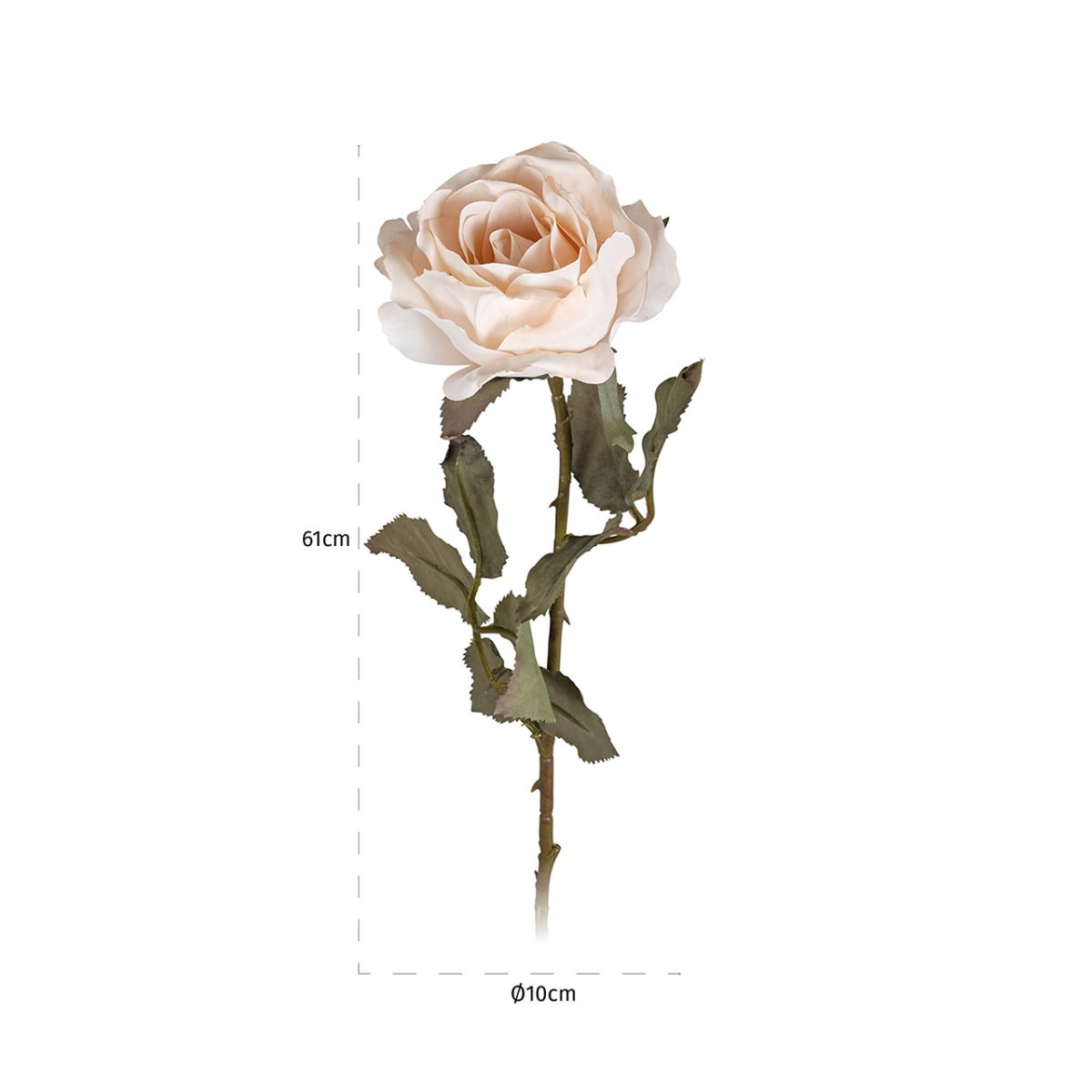 -FL-0016 - Bloem Rose Cream (12 stuks)