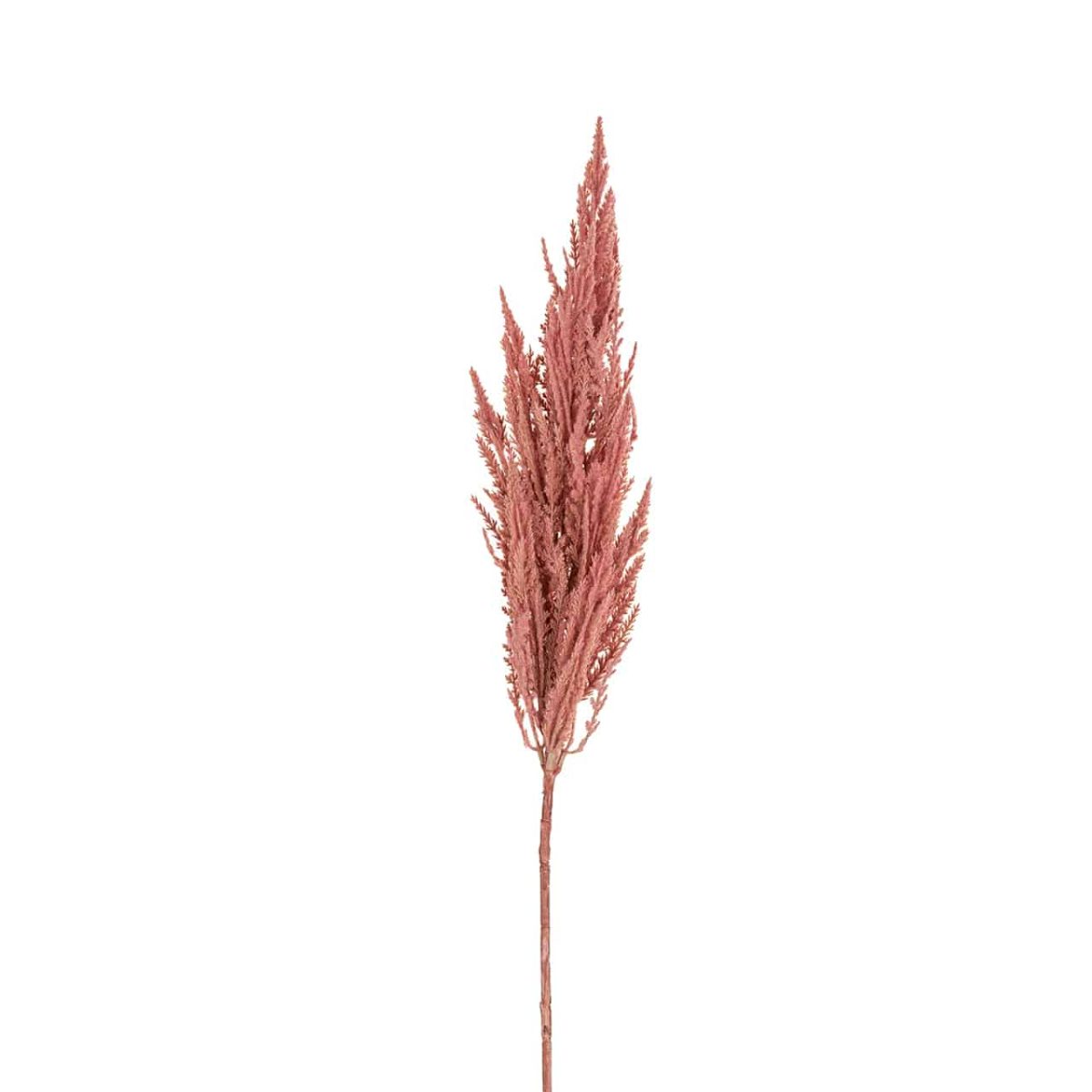 -FL-0028 - Gras Pampas pink klein (12 stuks)